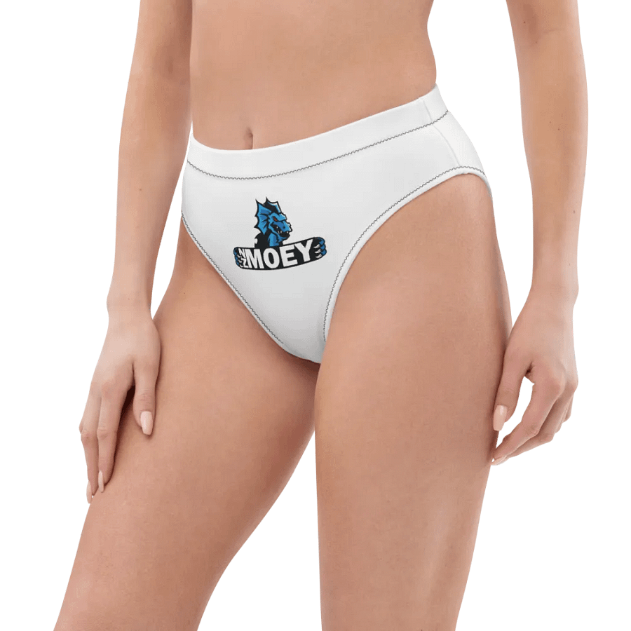 NZMOEY Recycled High Waisted Bikini Bottom product image (4)