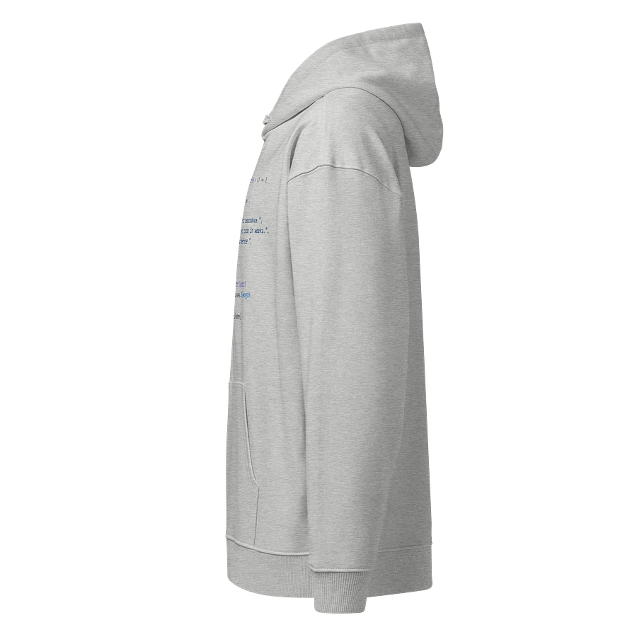 Developer Excuse Javascript Hoodie - Light product image (6)