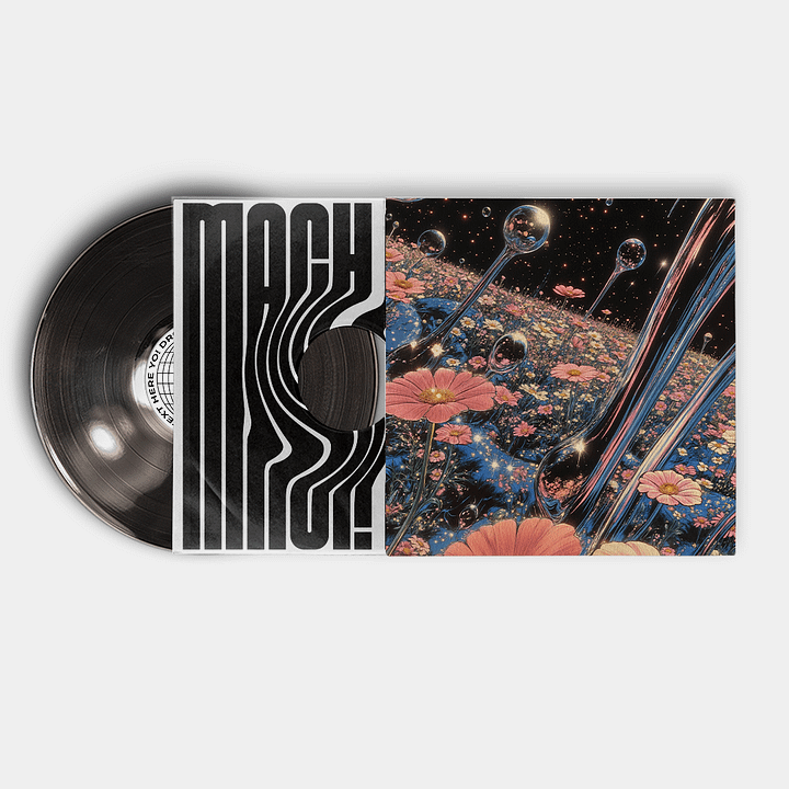 Vinyl Records Mockup Vol.1 (PSD) product image (2)