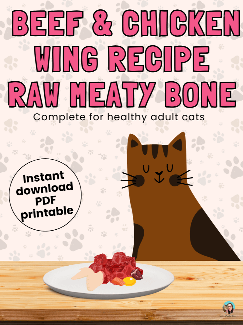 Beef & chicken wing raw meaty bone cat food recipe ~ 1 recipe for adult cats product image (1)