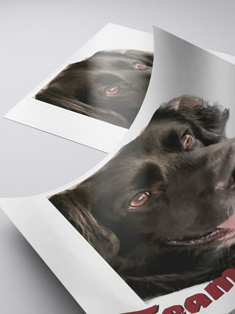 Team Duke Sticker product image (4)