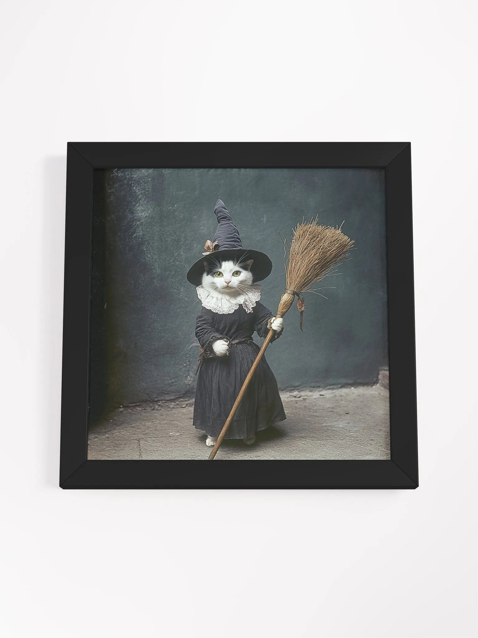 Black and White Cat Witch Photography Wall Art product image (33)