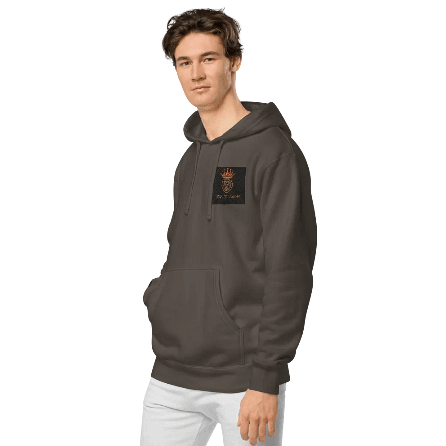 Crowned Lion of Judah Hoodie product image (6)