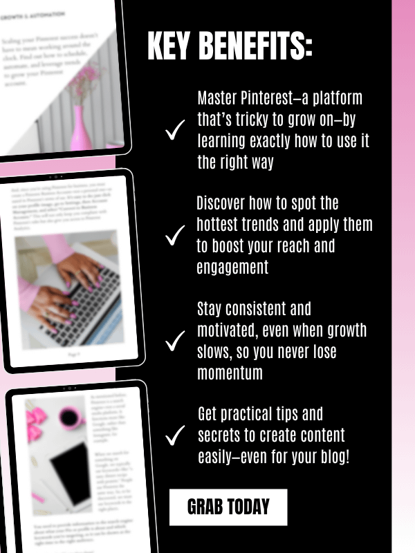MRR/PLR Pinterest Marketing eBook product image (5)