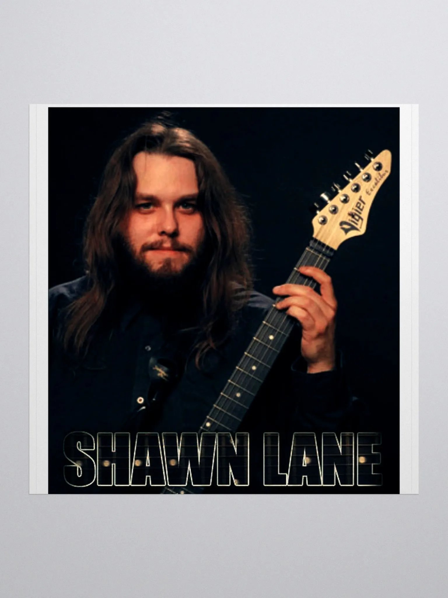 Vibrant Shawn Lane Vigier Sticker Set product image (1)