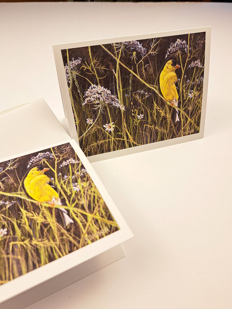 Wildlife Art Greeting Card - American Goldfinch - Shipping Included product image (4)