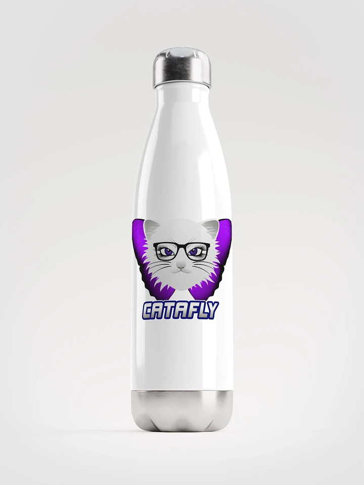 Stainless Steel Water Bottle product image (1)