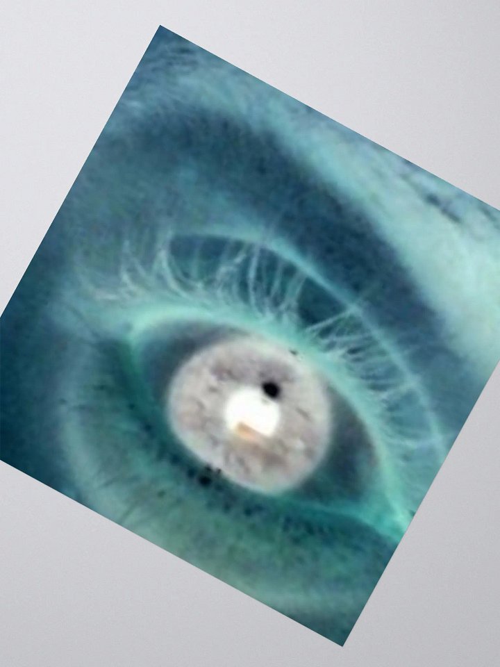 The Watchful Eye product image (2)