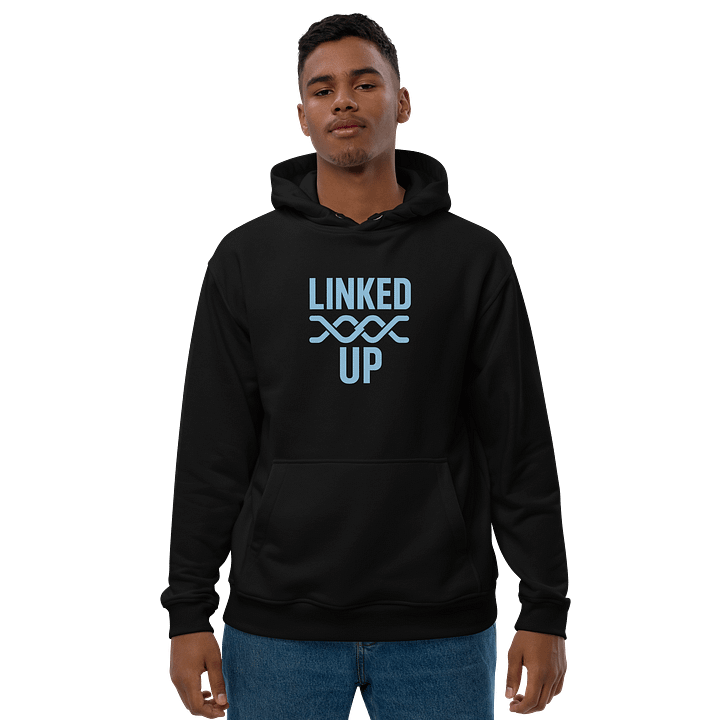 WilkyFAM/ StreamLINK "Linked Up" Hoodie product image (1)