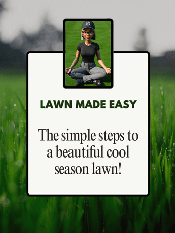 Easy DIY Lawn Care Guide product image (1)