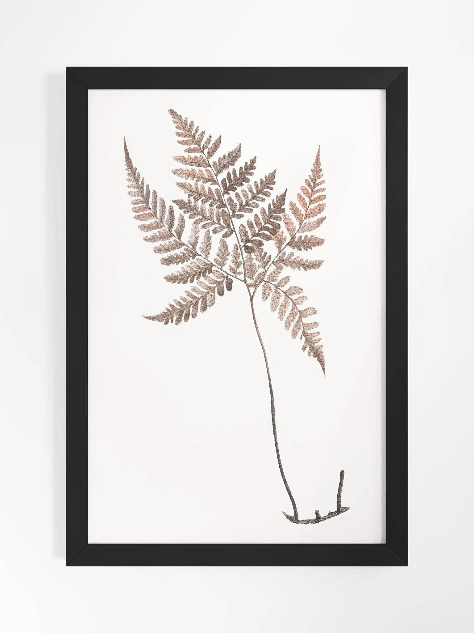 Ecotone Fern #1 Framed Print product image (1)