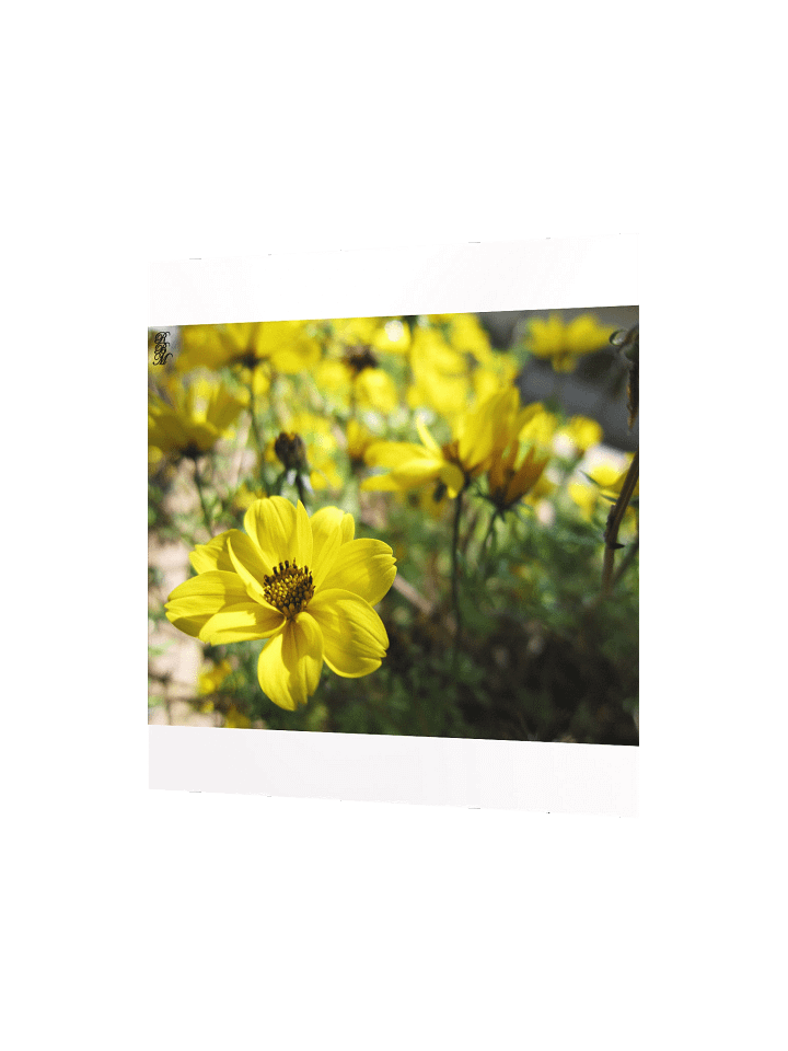 Yellow Flowers product image (6)