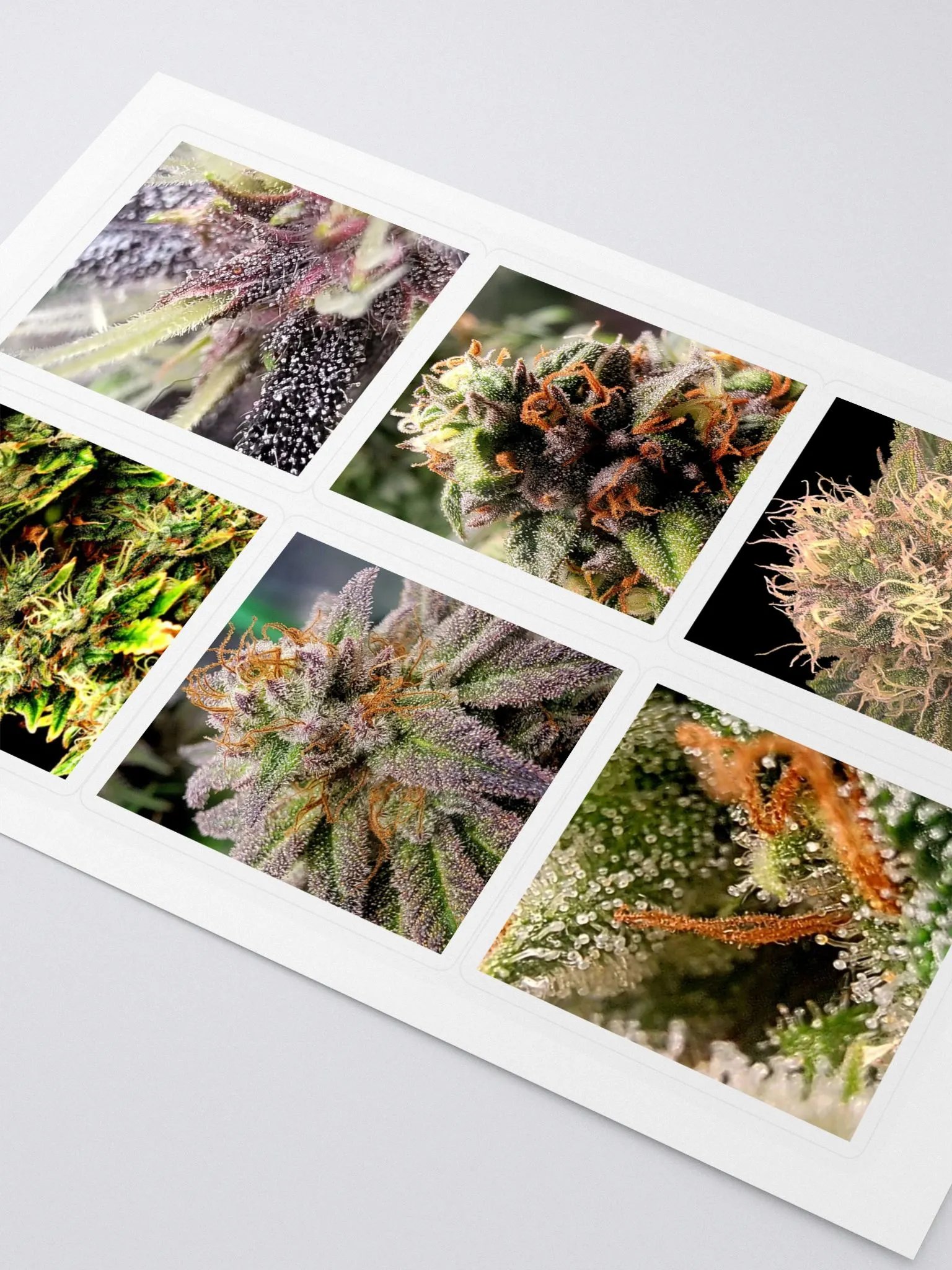 Crop Stickers product image (2)