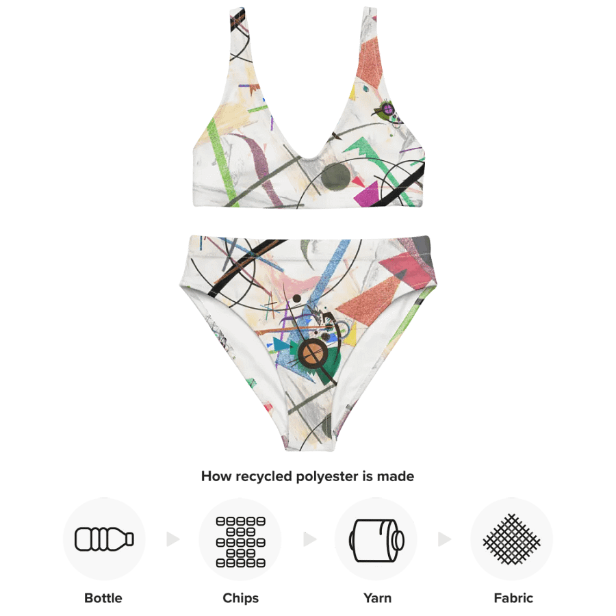 Abstract Lithographic Pattern Design High Waisted Bikini - V1 product image (3)