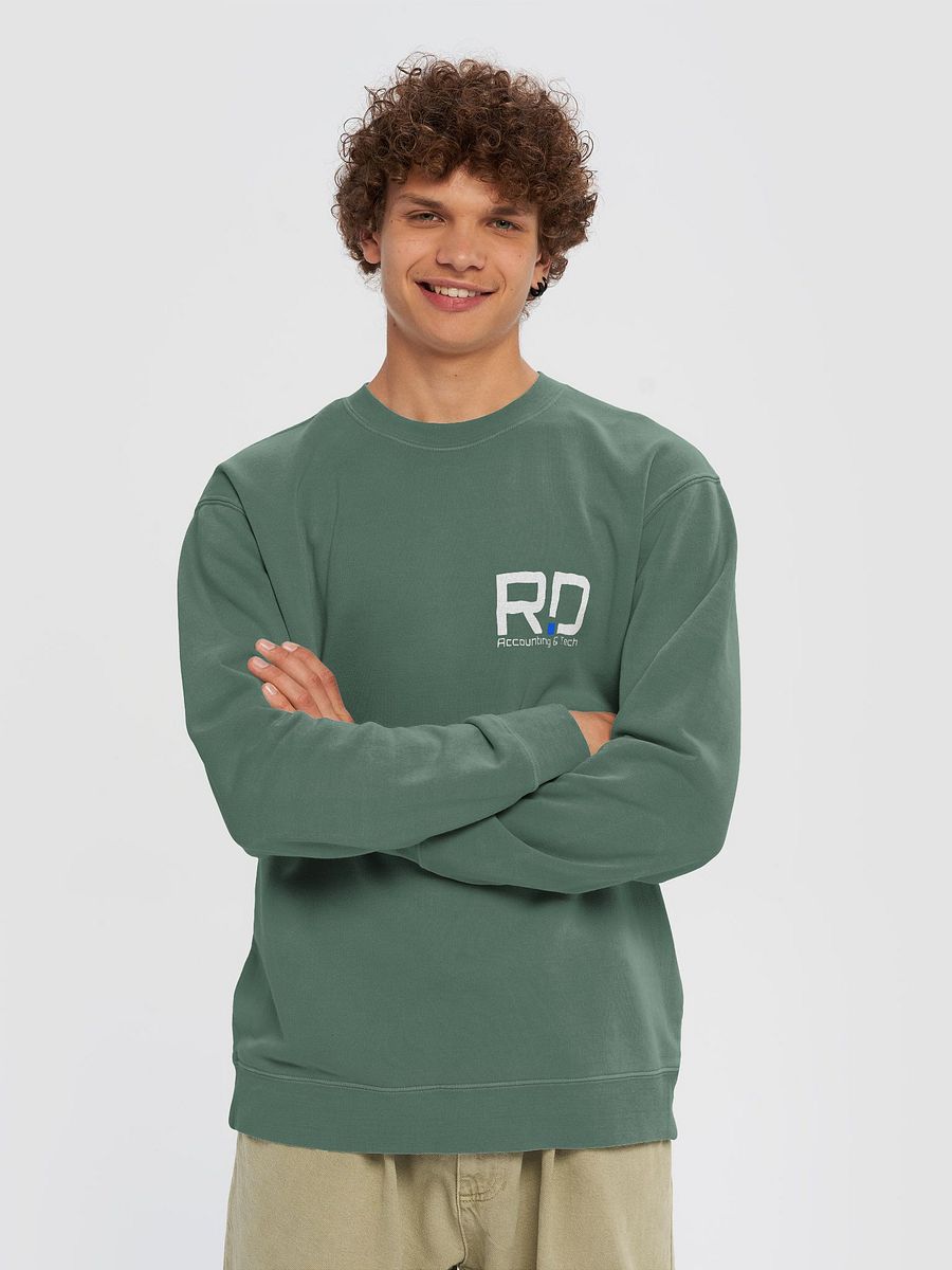 Rapp.Digital Pigment-Dyed Sweatshirt product image (31)