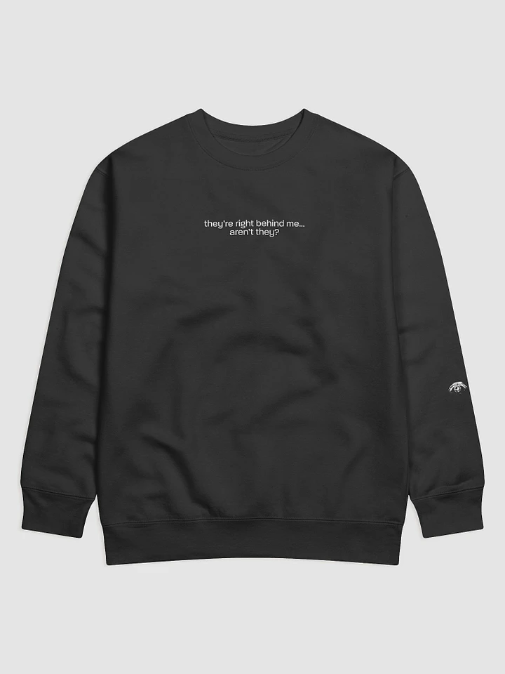 they're right behind me... aren't they? Sweatshirt product image (12)