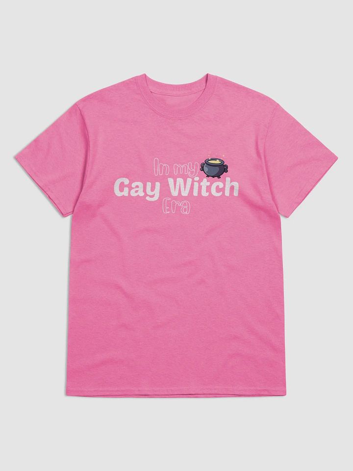 Gay Witch Era product image (1)
