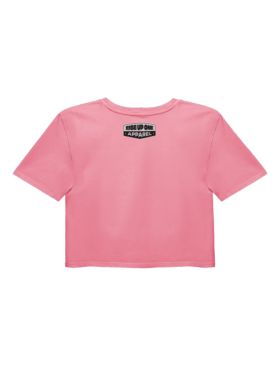 American Babe - FAFO - Crop Top product image (2)