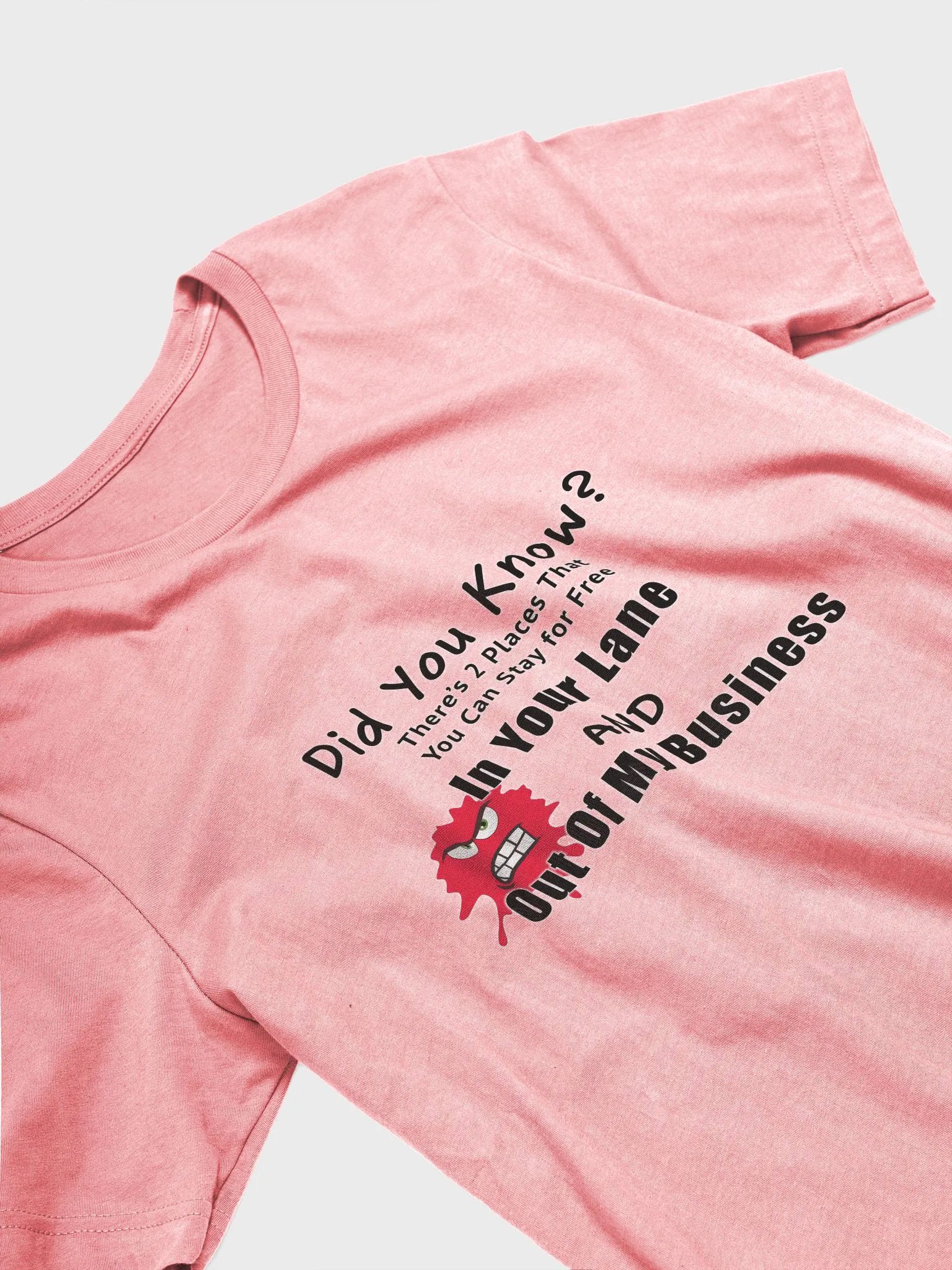 Did You Know T-shirt product image (2)