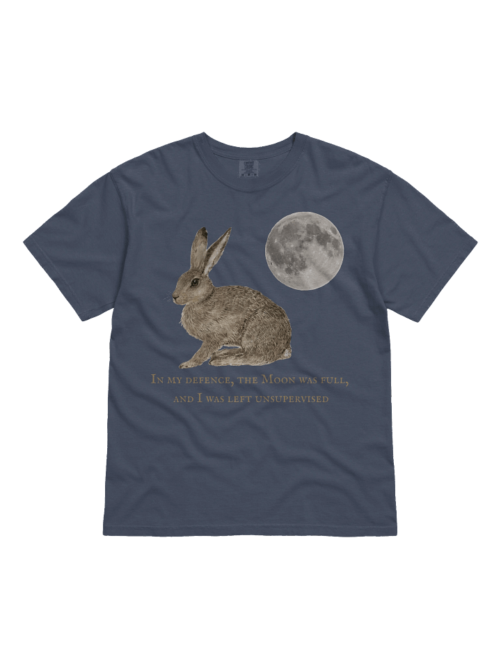 In my defence, the Moon was full... product image (1)