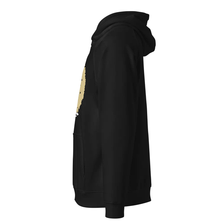 SOL'S Unisex Eco Raglan Hoodie product image (2)