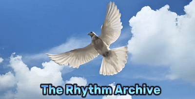 The Rhythm Archive Official Shop