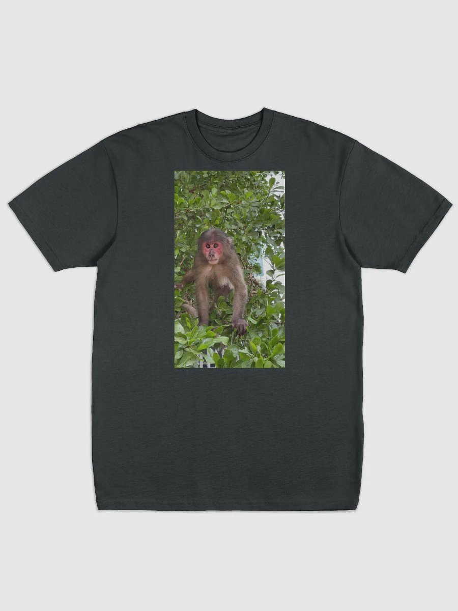 Monkey Coca product image (1)