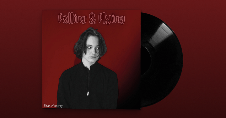 Falling & Flying Vinyl - Album product image (1)