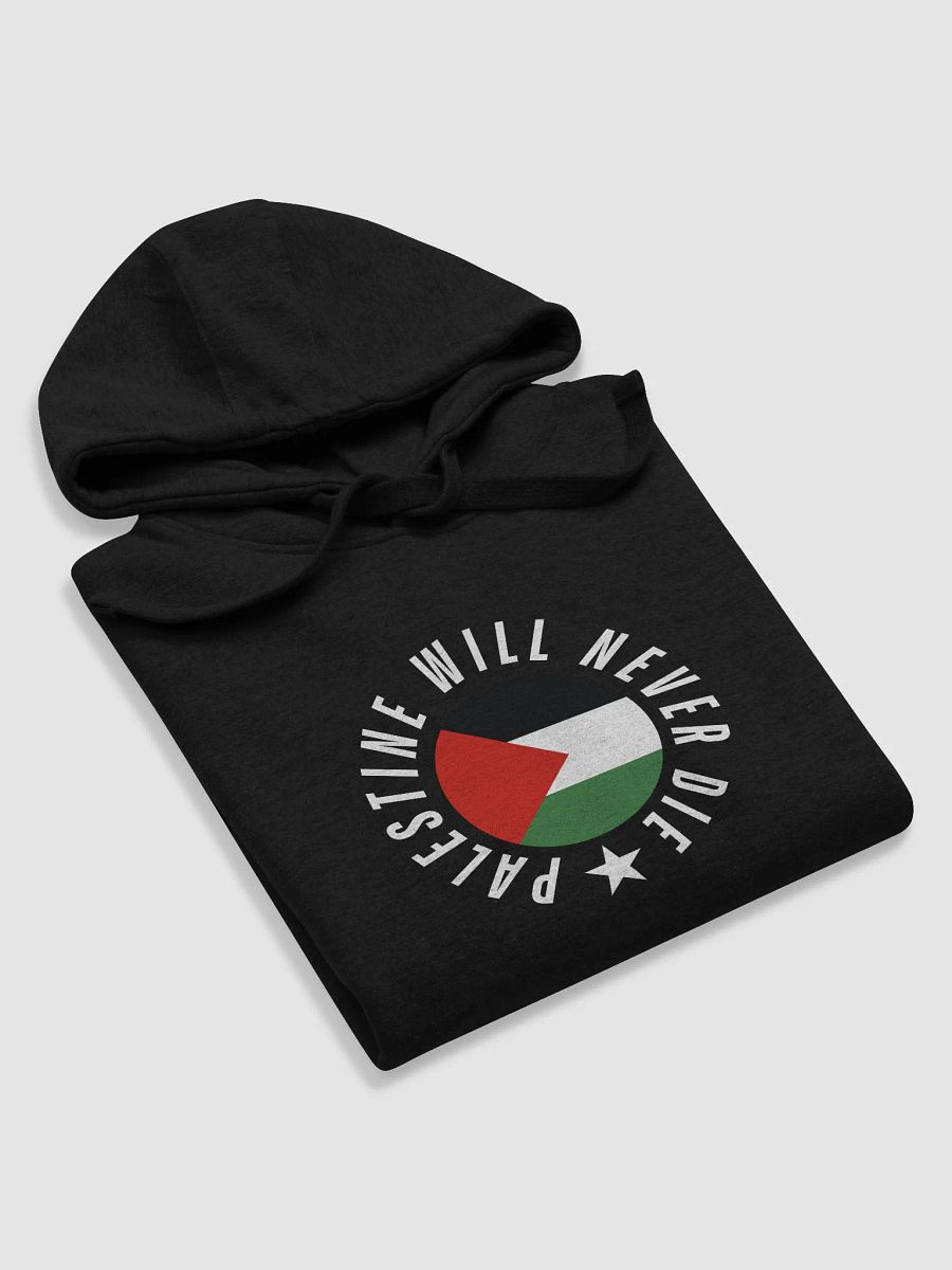 Palestine Emblem Unisex Premium Hoodie | palestine will never die product image (56)