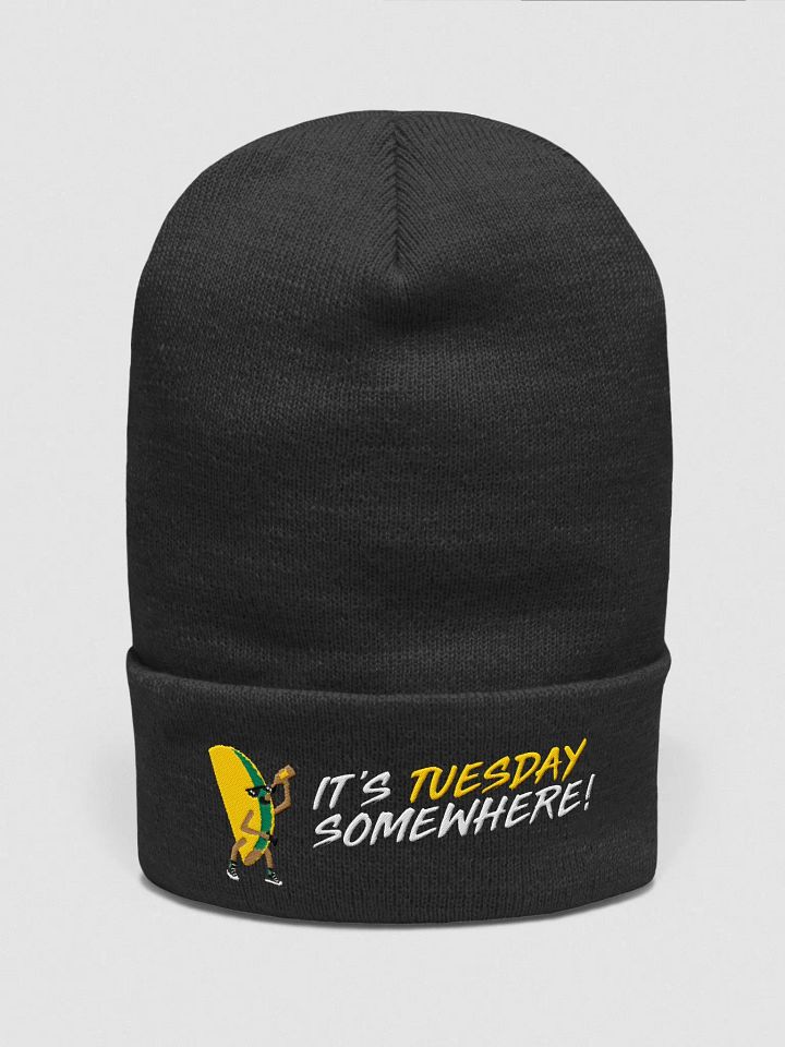 t4c0 Beanie product image (1)