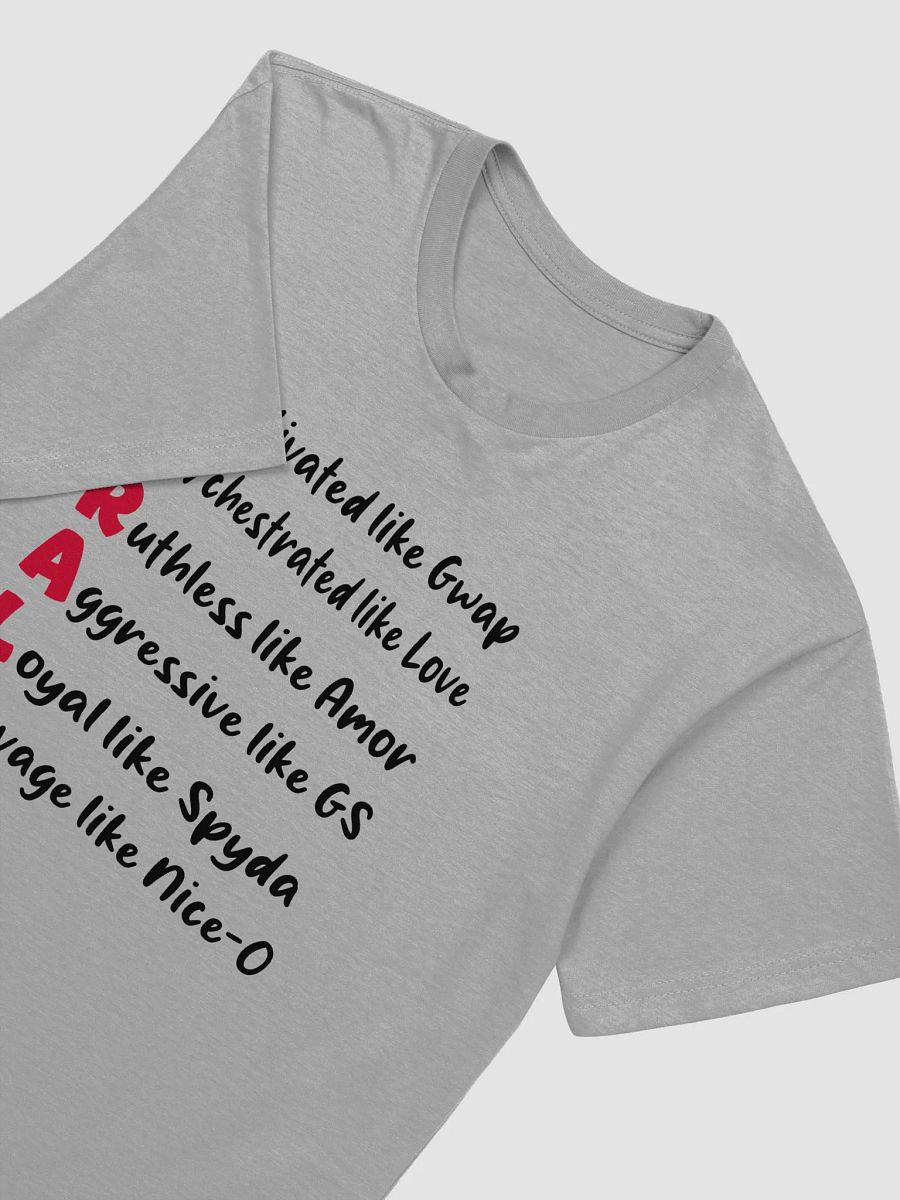 MORALS Gray T-shirt product image (4)