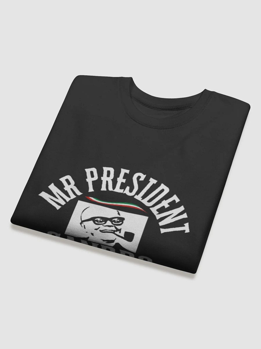 FELPA - SANDRO PERTINI - IL PRESIDENTE product image (4)
