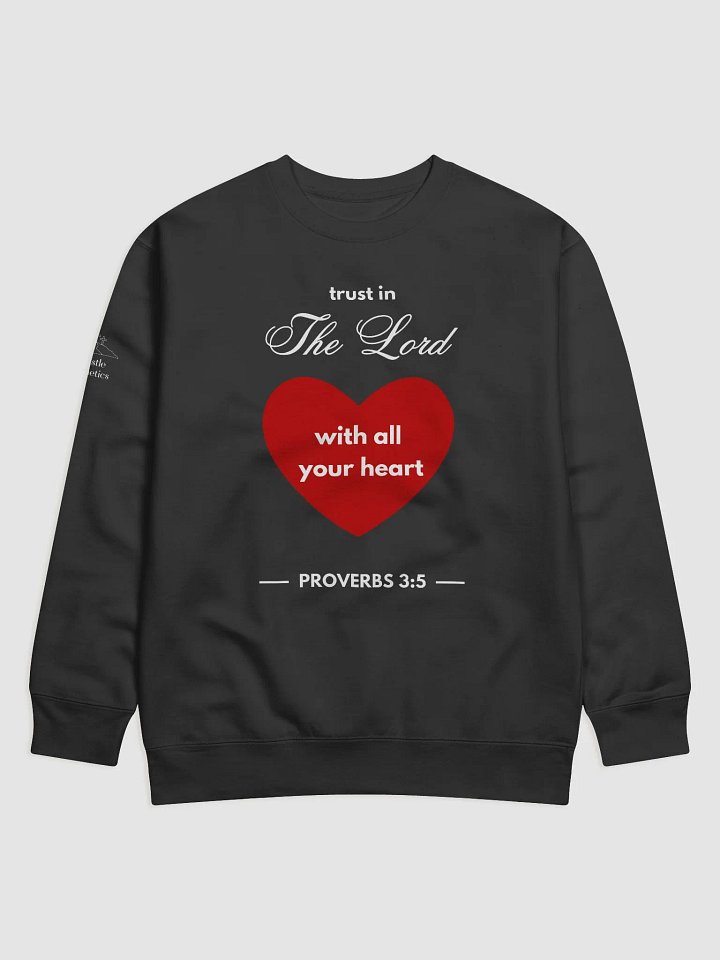 Trust in The Lord with All Your Heart - Sweatshirt product image (1)