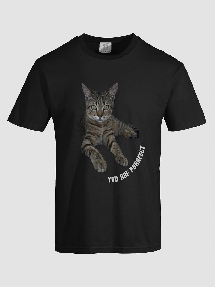 Purrfect tee product image (5)