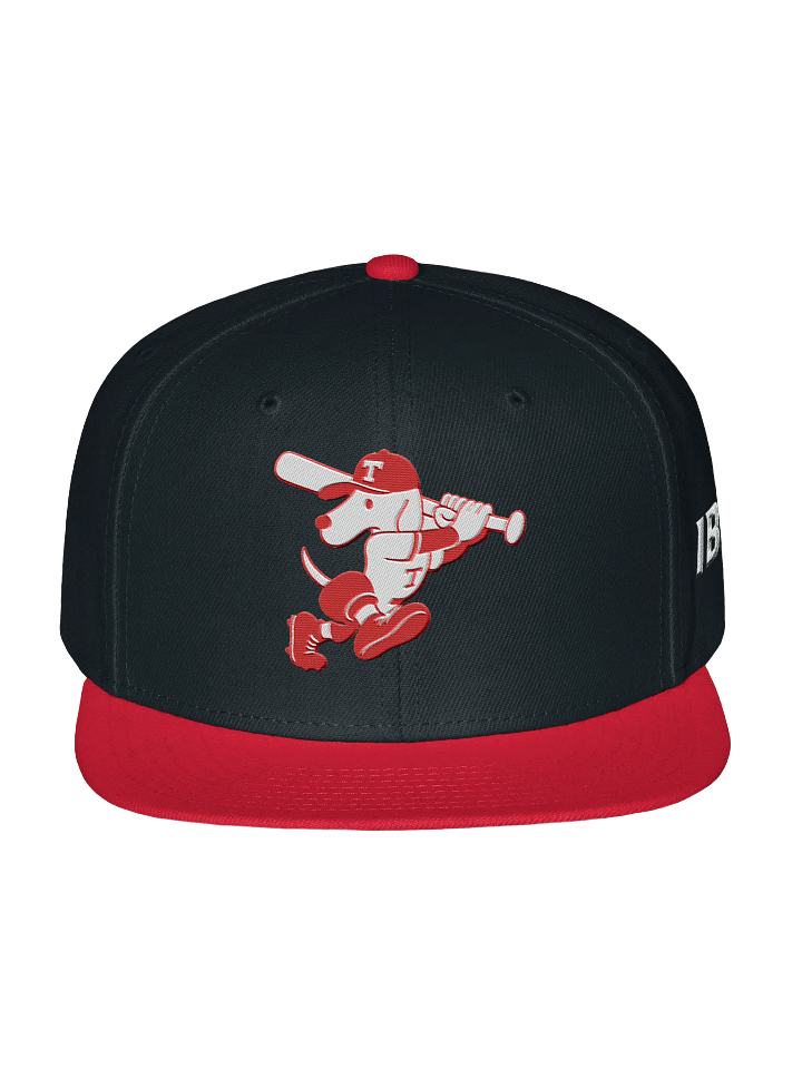 Galt Terriers Legacy Cap product image (1)
