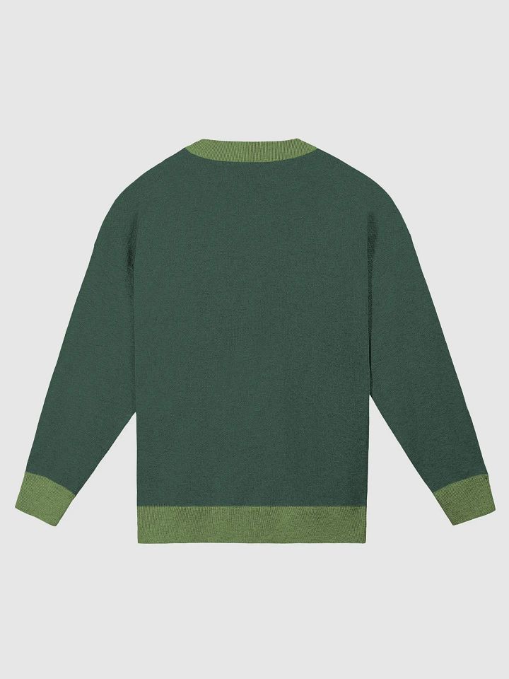 BUSY-BRAINED (green) knitwear crewneck product image (7)