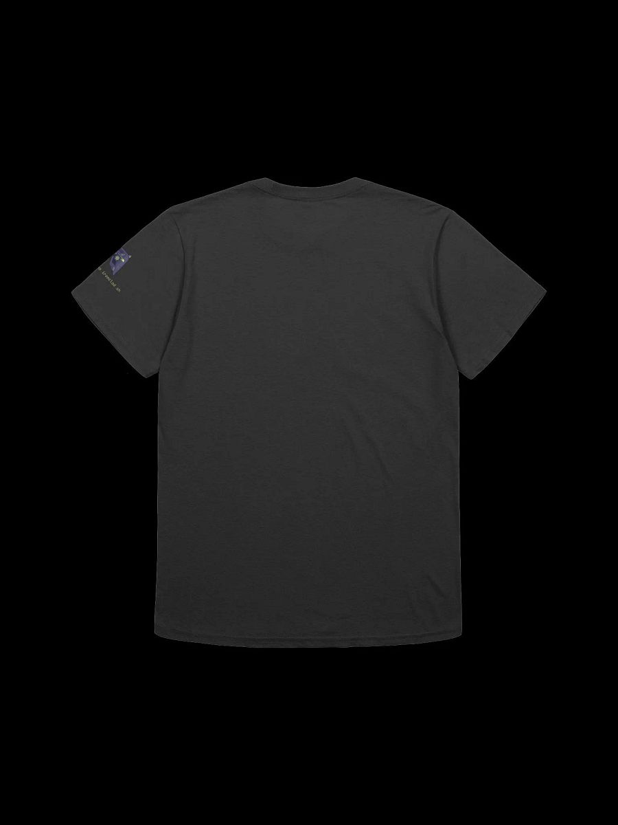 I use Neovim & Brave btw T-shirt product image (2)