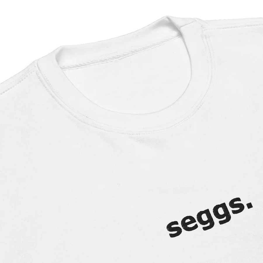 seggs. sweatshirt product image (9)