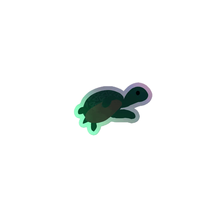 Turtle product image (1)