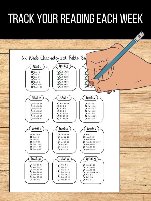 52 Week Chronological Printable Bible Reading Plan product image (2)