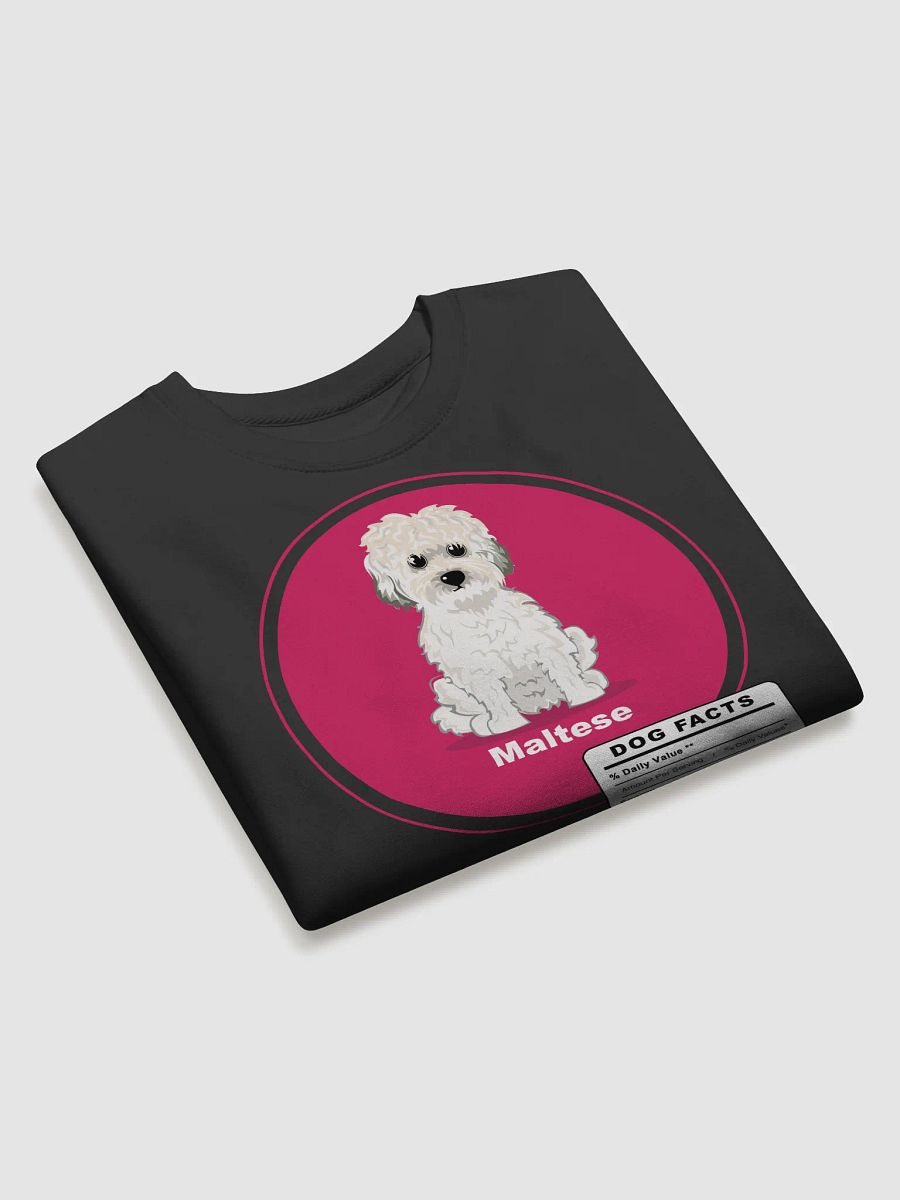 Maltese Dog breed adorable Facts product image (3)