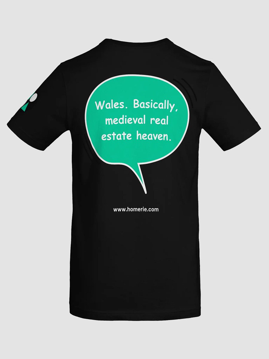 Trivia Tee: The Land of Endless Castles product image (6)