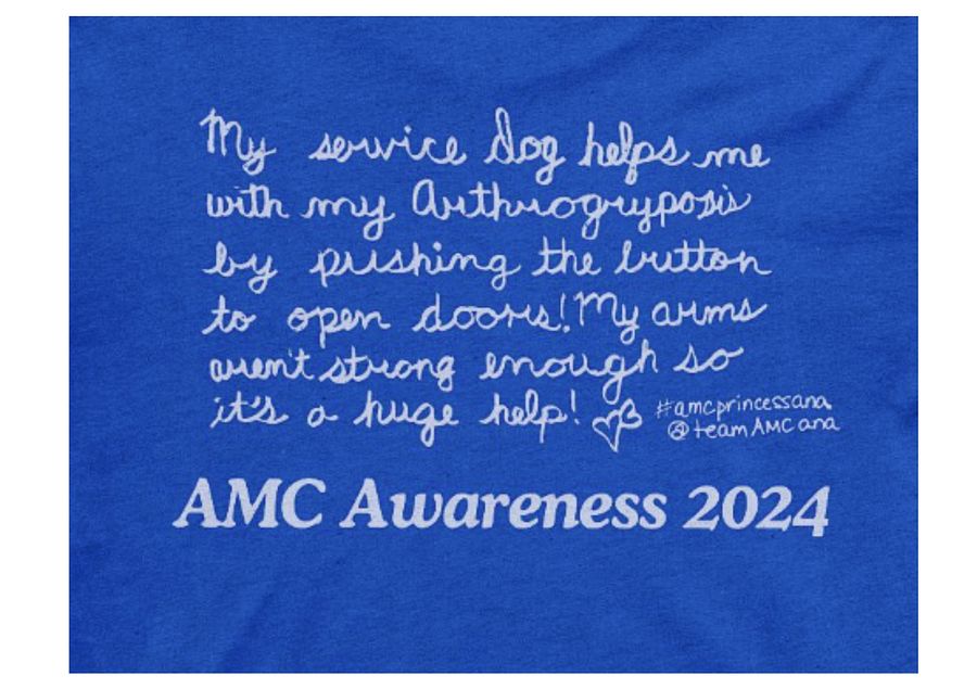 LIMITED! AMC Awareness 2024 - T-shirt product image (10)