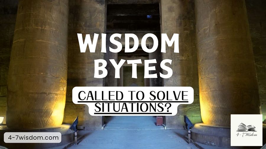 Wisdom Bytes: Called to Solve Situations product image (1)