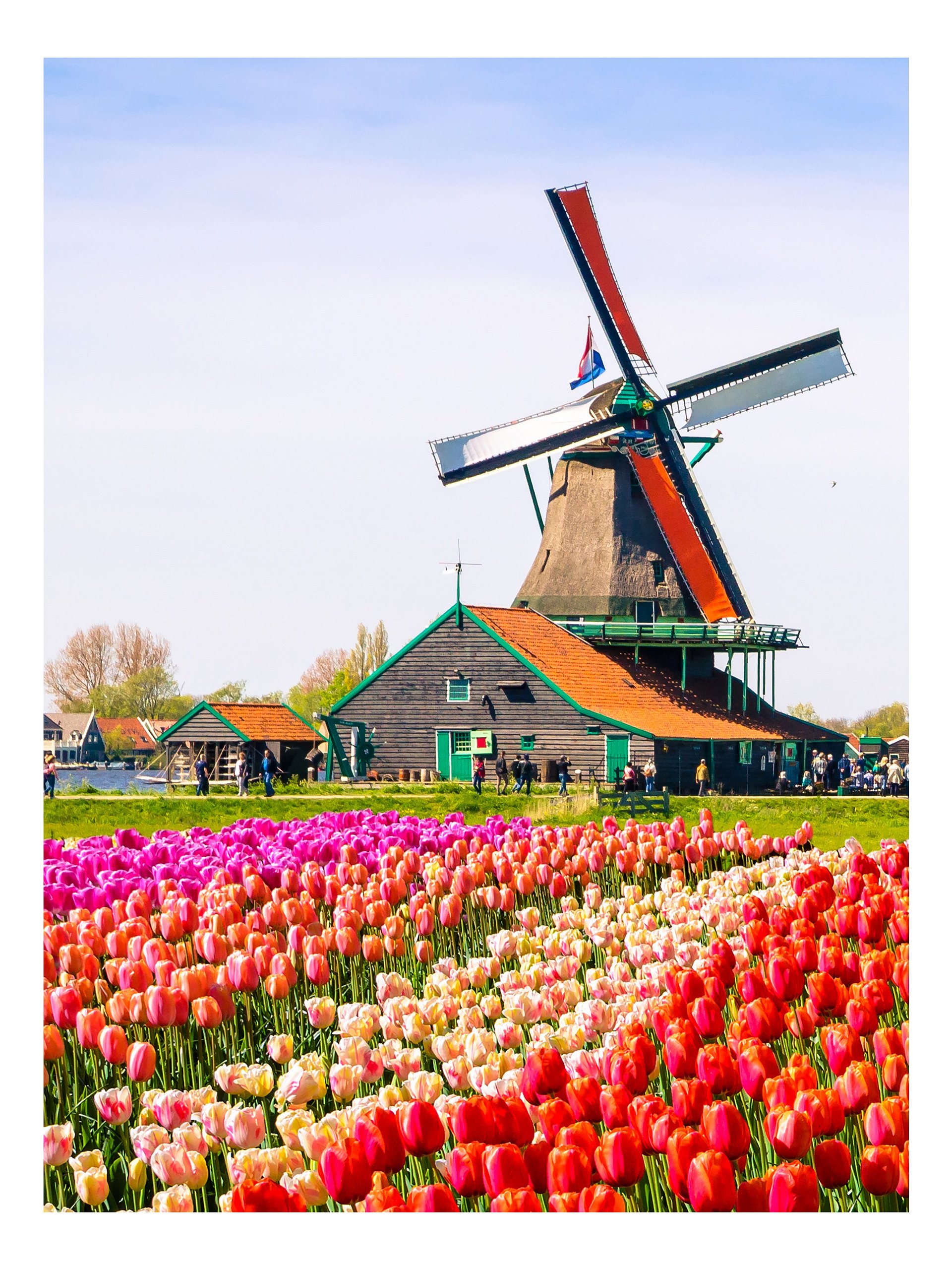 Cool Down [Color] | Adult Coloring Book: Amsterdam product image (2)