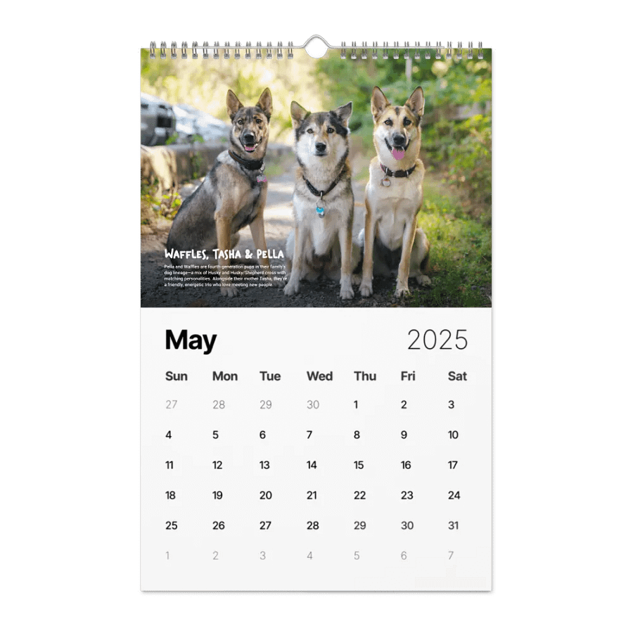 Official 2025 Calendar product image (10)
