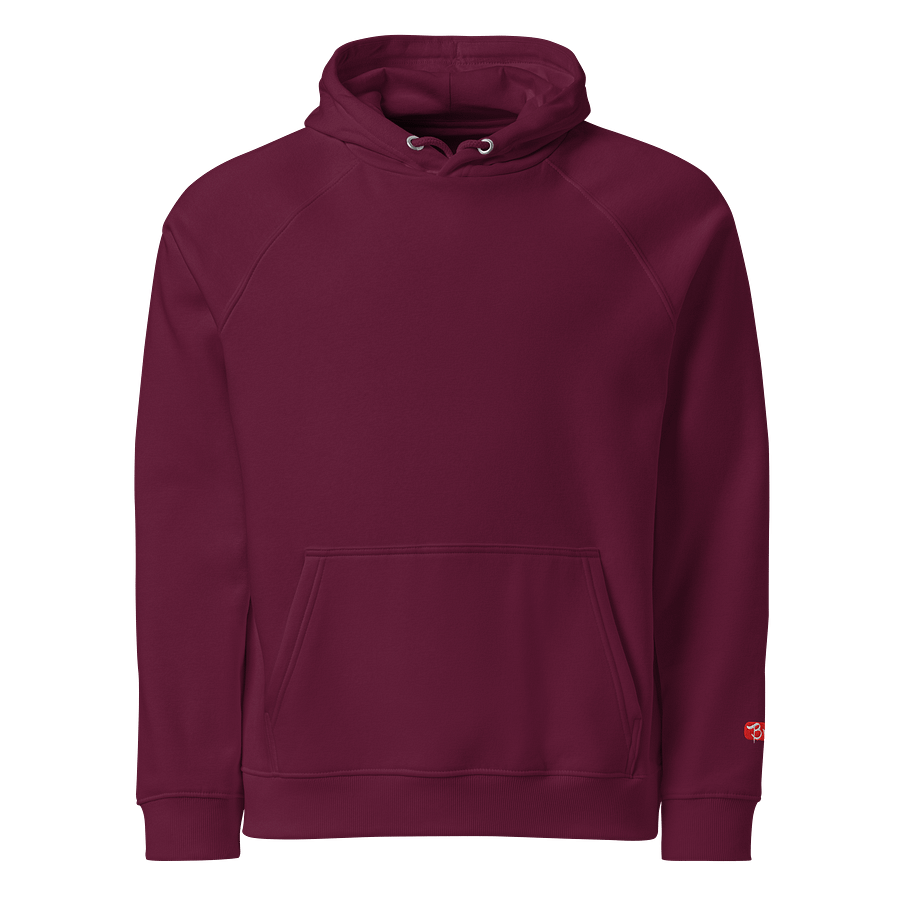 Organic UNISEX Hoodie, Brave product image (3)