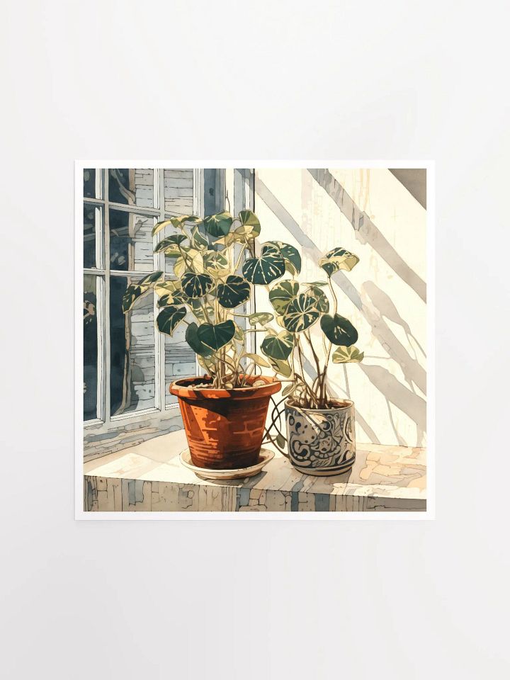 Art2401-10 Potted Plants Still Life - Art Print product image (2)