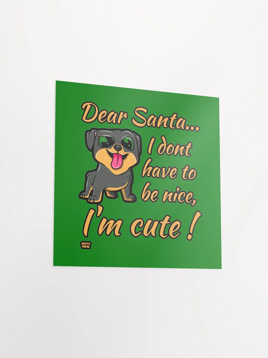 DEAR SANTA, I DON'T HAVE TO BE NICE, I'M CUTE! product image (10)