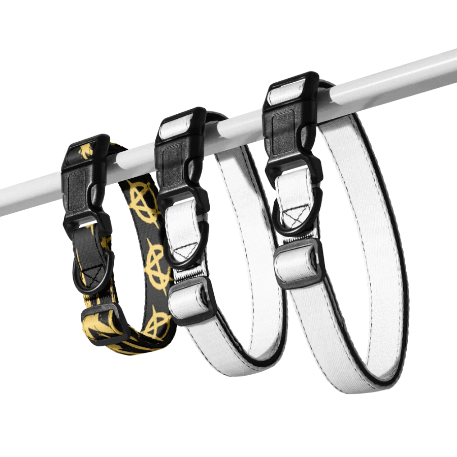 Anarchy Collar product image (7)